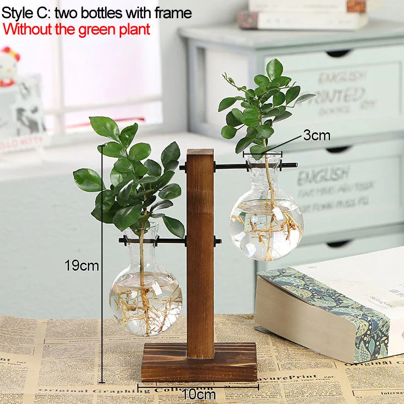 Vintage Style Transparent Plant Vases