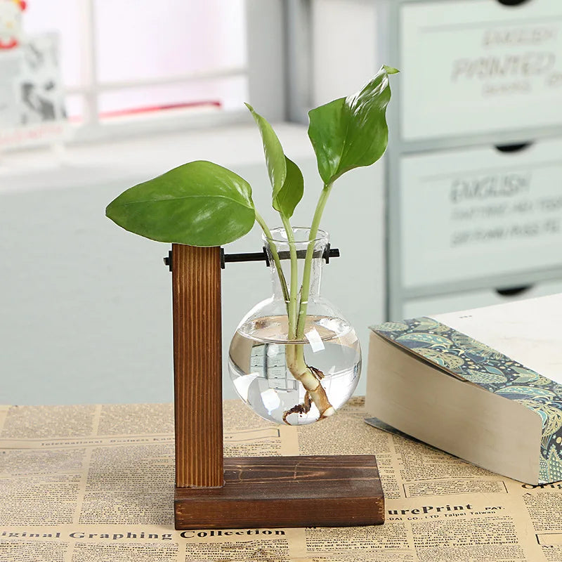Vintage Style Transparent Plant Vases