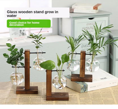 Vintage Style Transparent Plant Vases