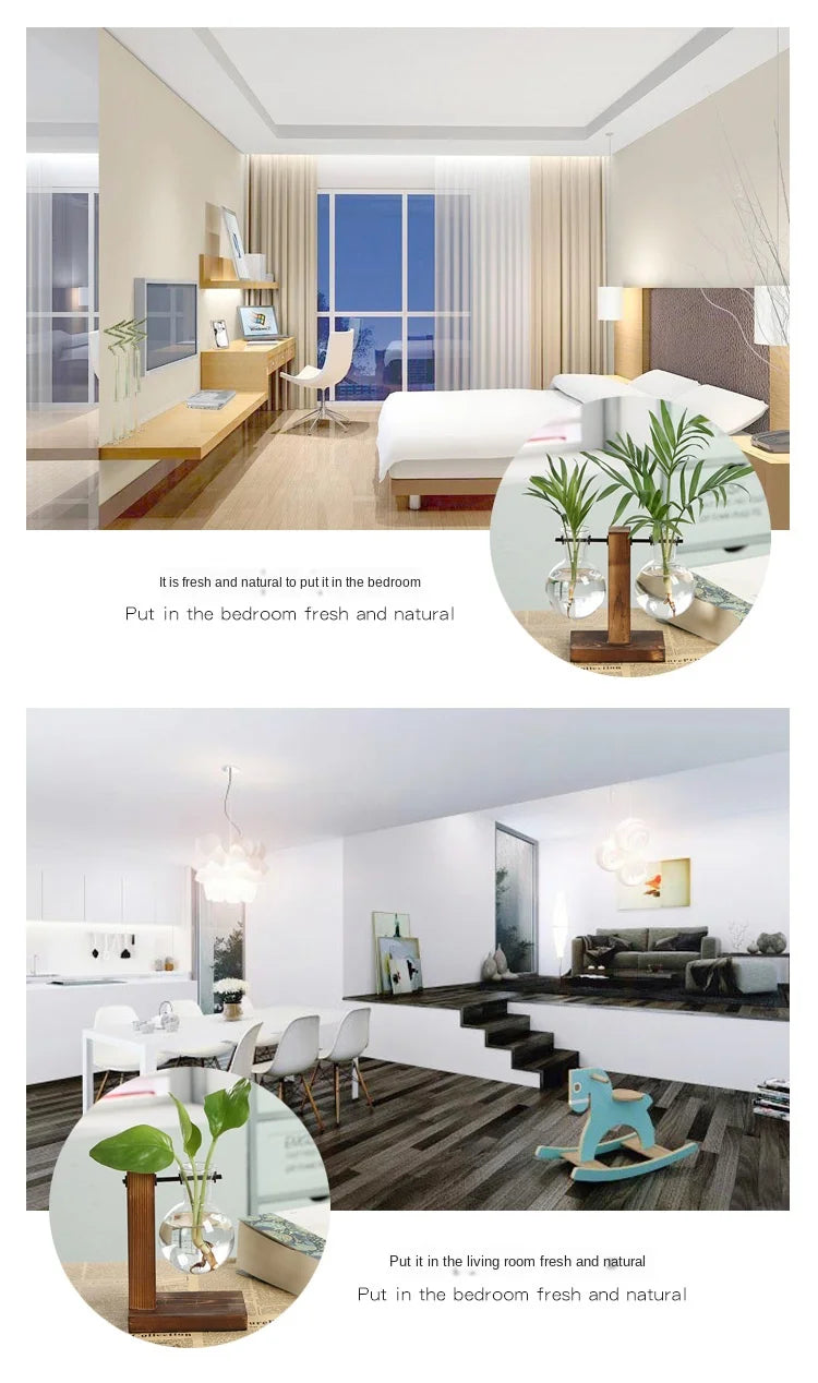 Vintage Style Transparent Plant Vases