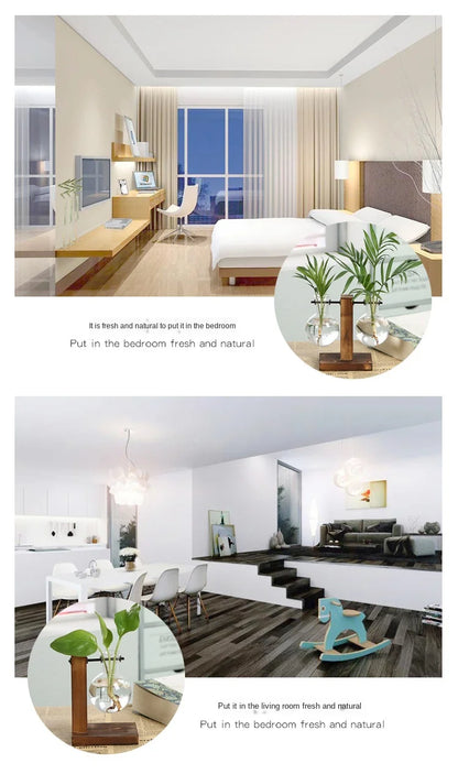 Vintage Style Transparent Plant Vases