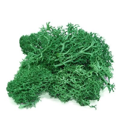 20-40g Artificial Colourful Moss Grass For DIY