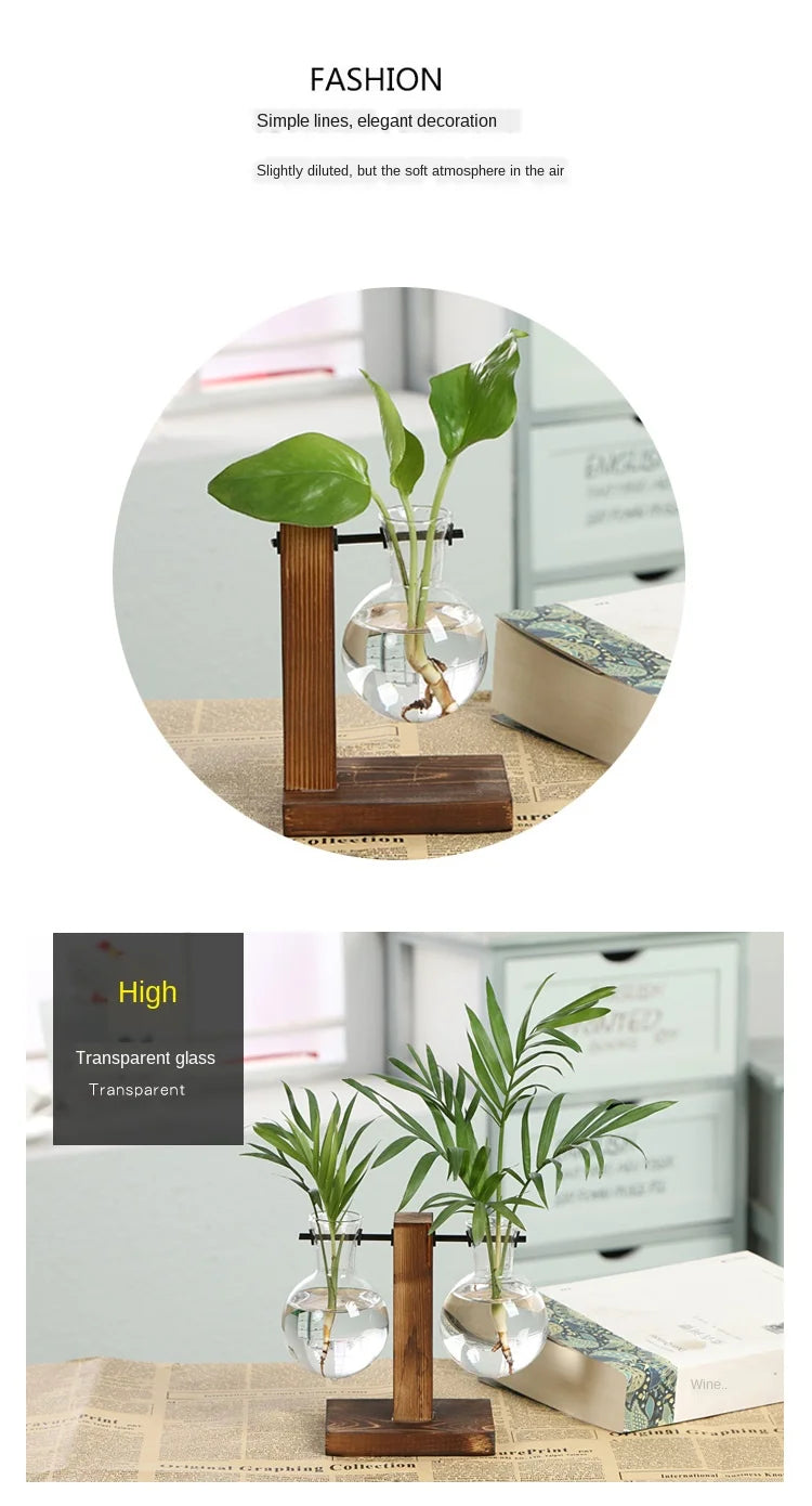 Vintage Style Transparent Plant Vases