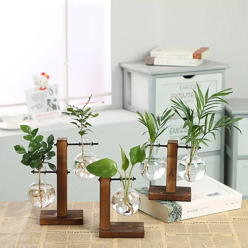 Vintage Style Transparent Plant Vases