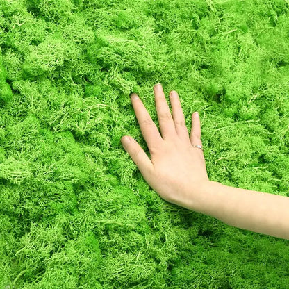 20-40g Artificial Colourful Moss Grass For DIY