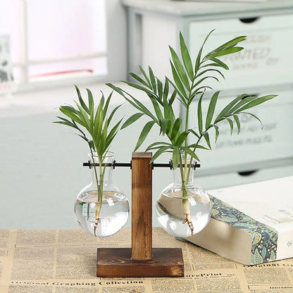 Vintage Style Transparent Plant Vases
