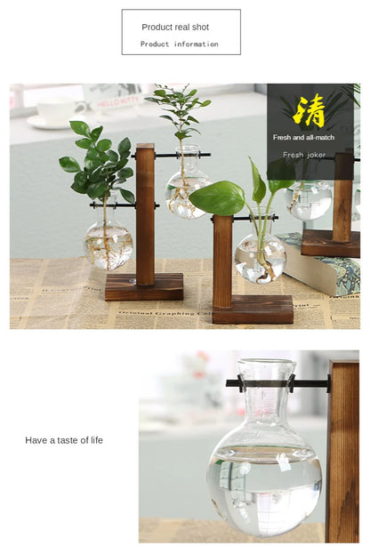 Vintage Style Transparent Plant Vases