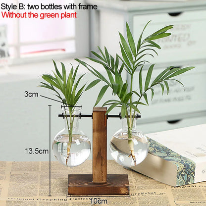 Vintage Style Transparent Plant Vases