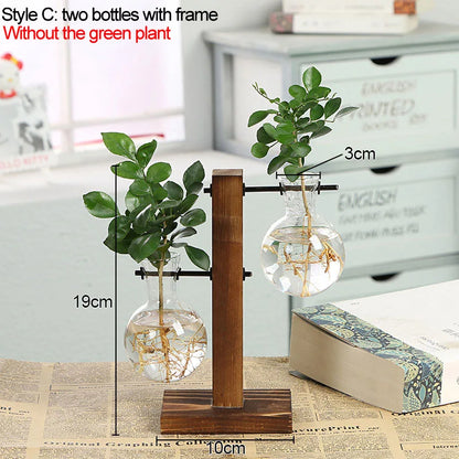 Vintage Style Transparent Plant Vases