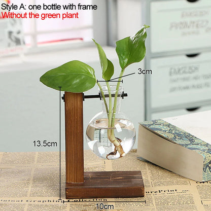 Vintage Style Transparent Plant Vases